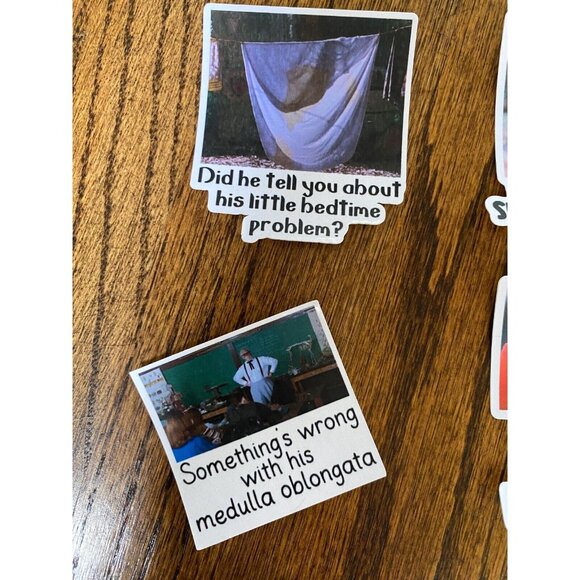 The Waterboy STICKER Bobby Boucher Inspired Set of 11 Stickers High Quality H2O - Picture 6 of 8